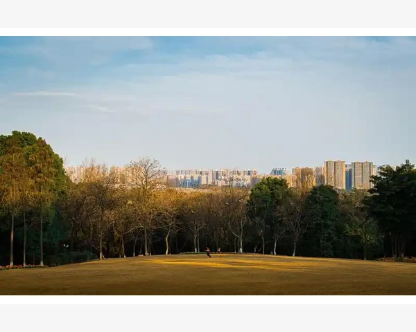 儿童喉咙有痰？中医妙方助您化痰轻松无忧